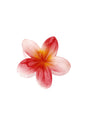 Haarclip Hawaii bloem