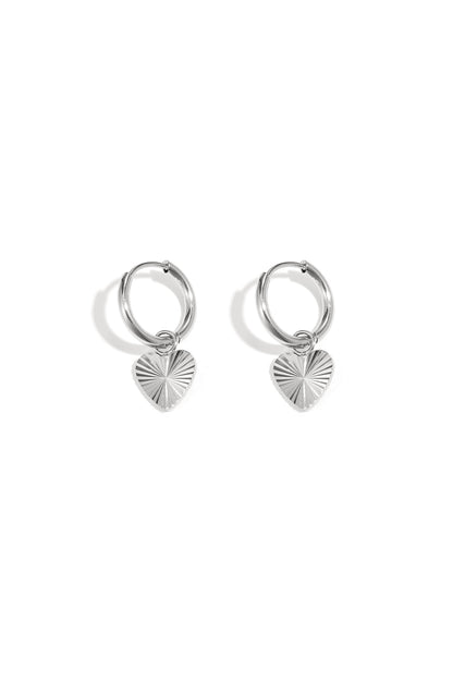 RVS oorbellen hart Stainless Steel