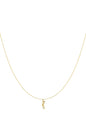   Hangerkettingen Turtle Casual Daily Simple Series Damessieraden