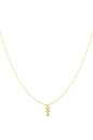 Dutch Breeze ketting