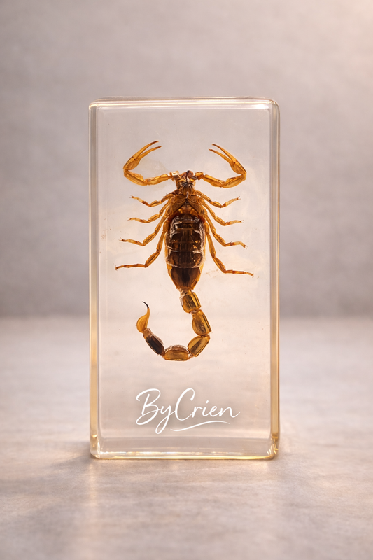 Schorpioen in epoxy