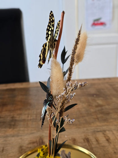 🦋XL vlinderstolp Graphium Doson & Papilio Demoleus🦋