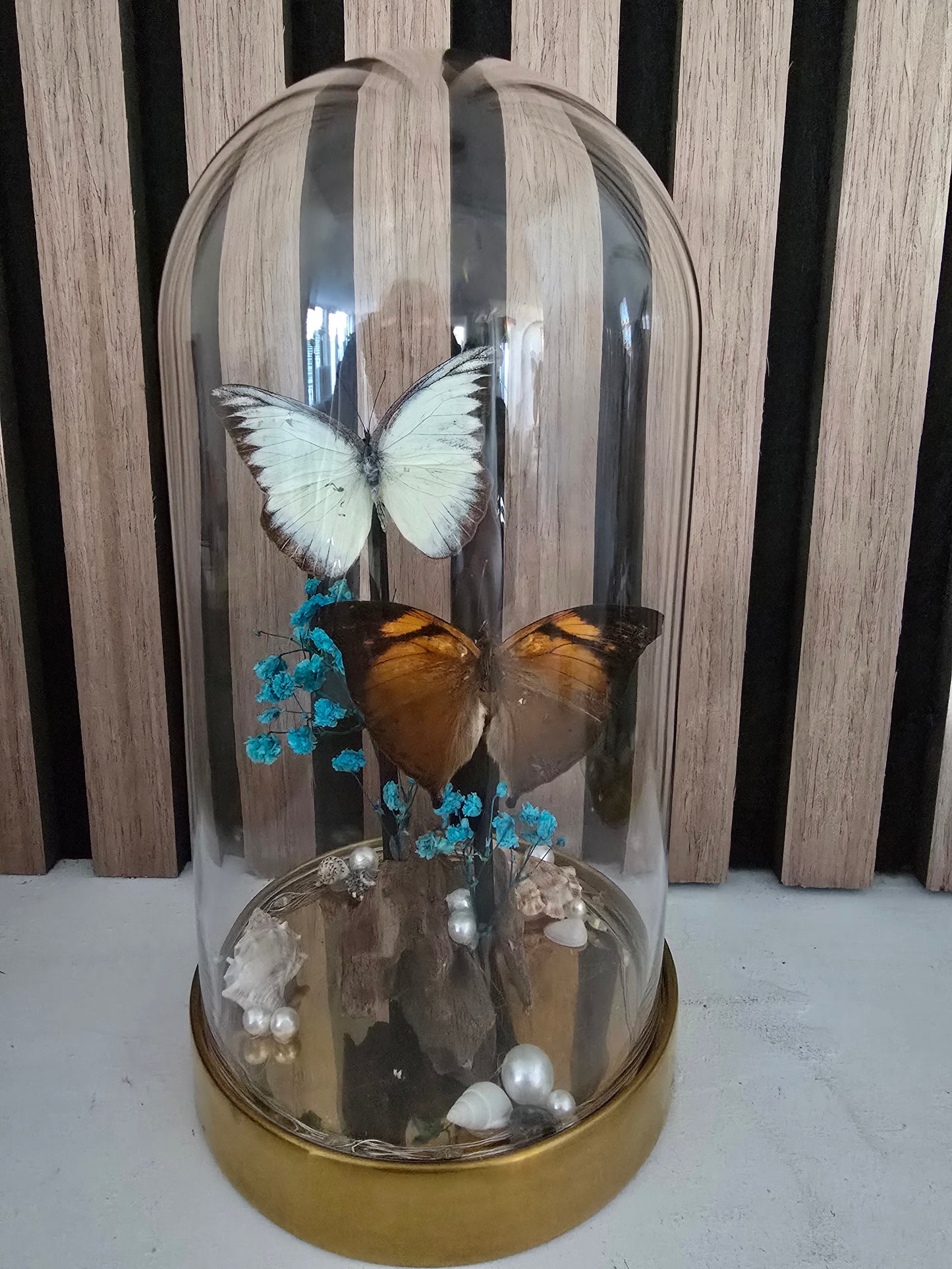 🦋 Vlinderstolp met led Doleschallia Bisaltide & Belenois Theora 🦋