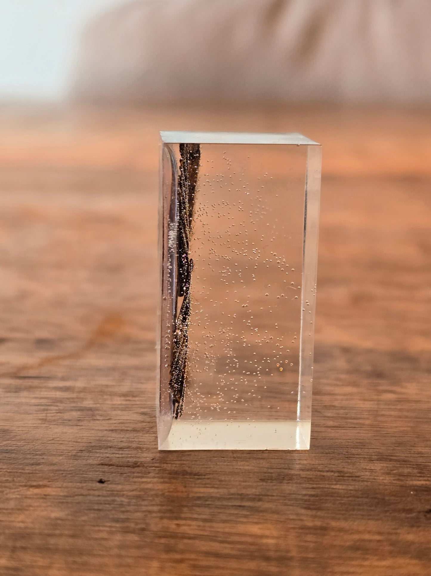Vlinder vleugels in epoxy
