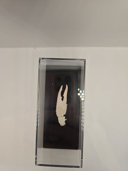 Krabschaar in Display Box