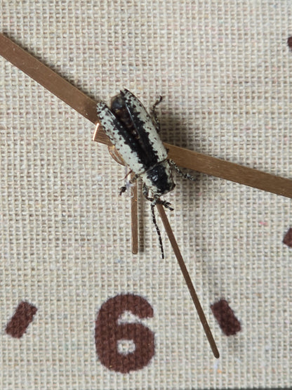 Wekker met insect