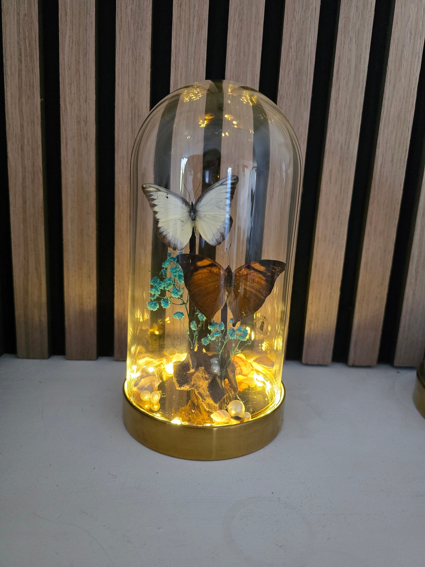 🦋 Vlinderstolp met led Doleschallia Bisaltide & Belenois Theora 🦋