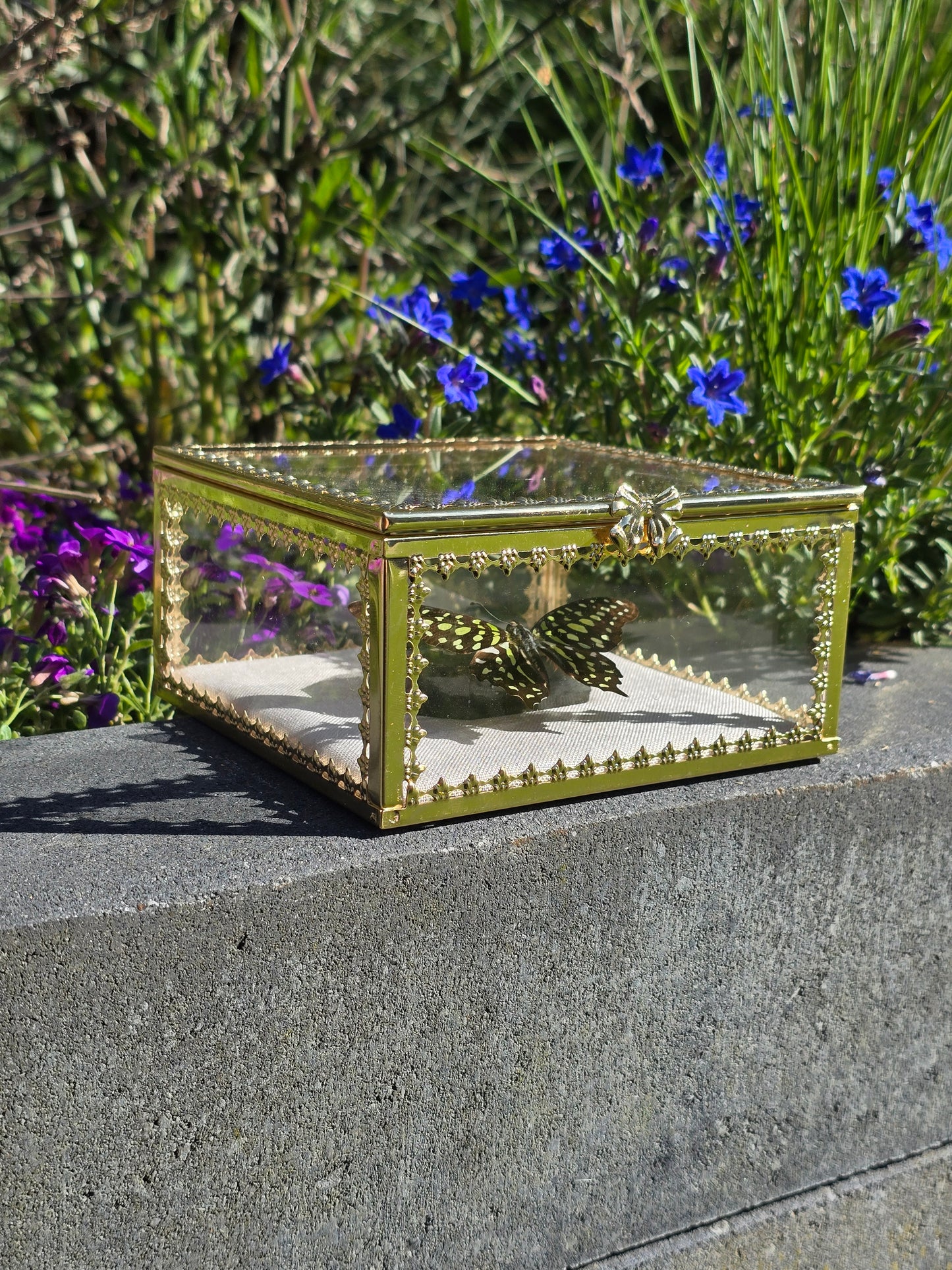 Luxe Vlinder met Labradoriet Gouden Display Box