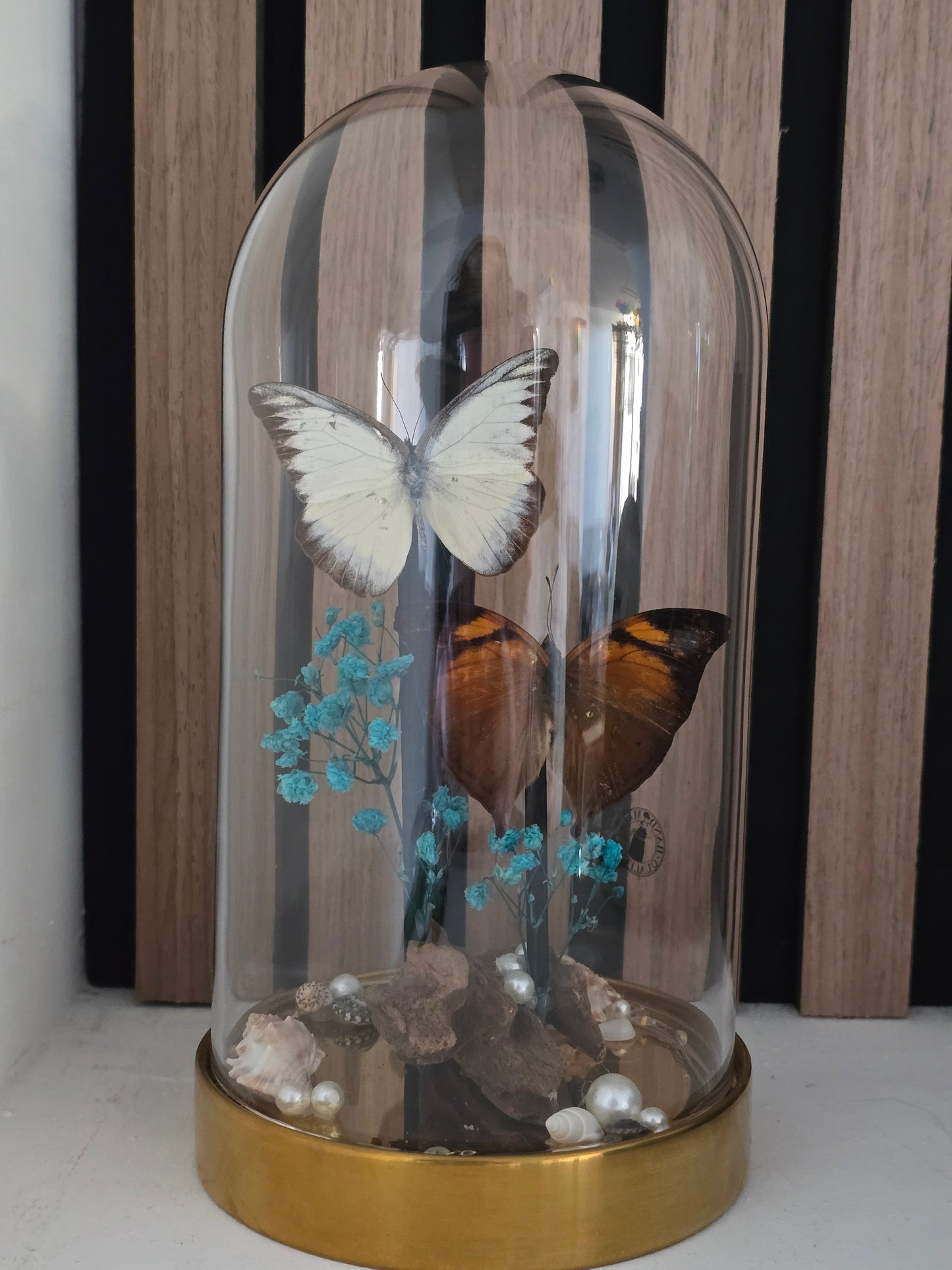 🦋 Vlinderstolp met led Doleschallia Bisaltide & Belenois Theora 🦋