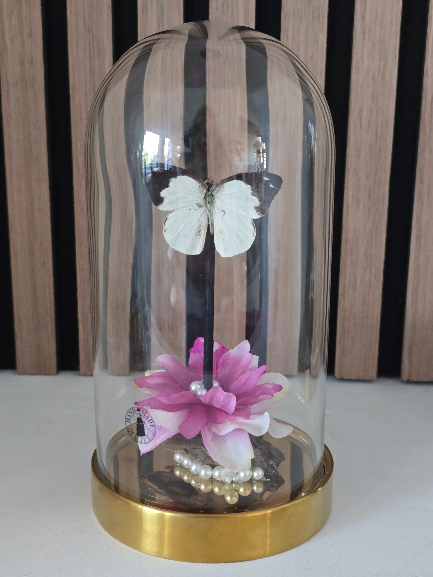🦋✨ Vlinderstolp Appias Indra✨🦋