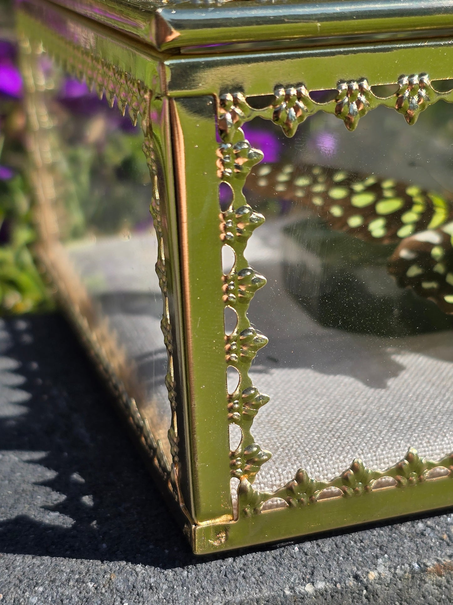 Luxe Vlinder met Labradoriet Gouden Display Box
