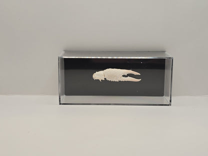 Krabschaar in Display Box