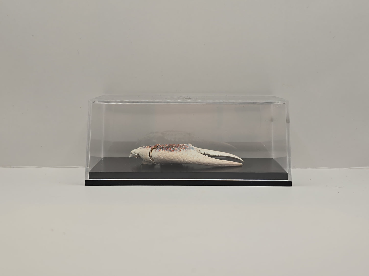 Krabschaar in Transparante Display