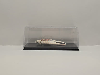 Krabschaar in Transparante Display