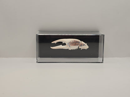Krabschaar in Transparante Display