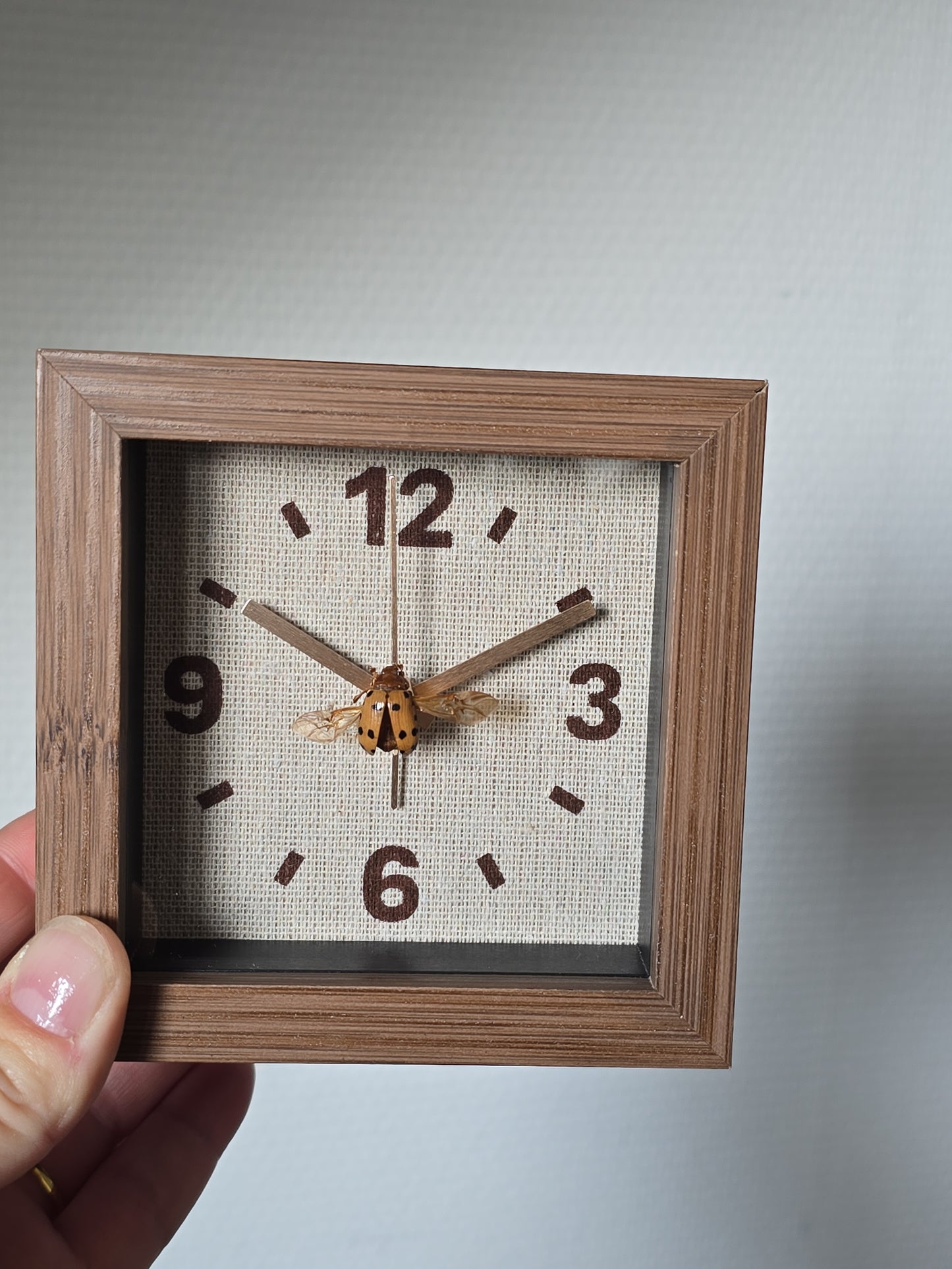 Unieke wekker met insect