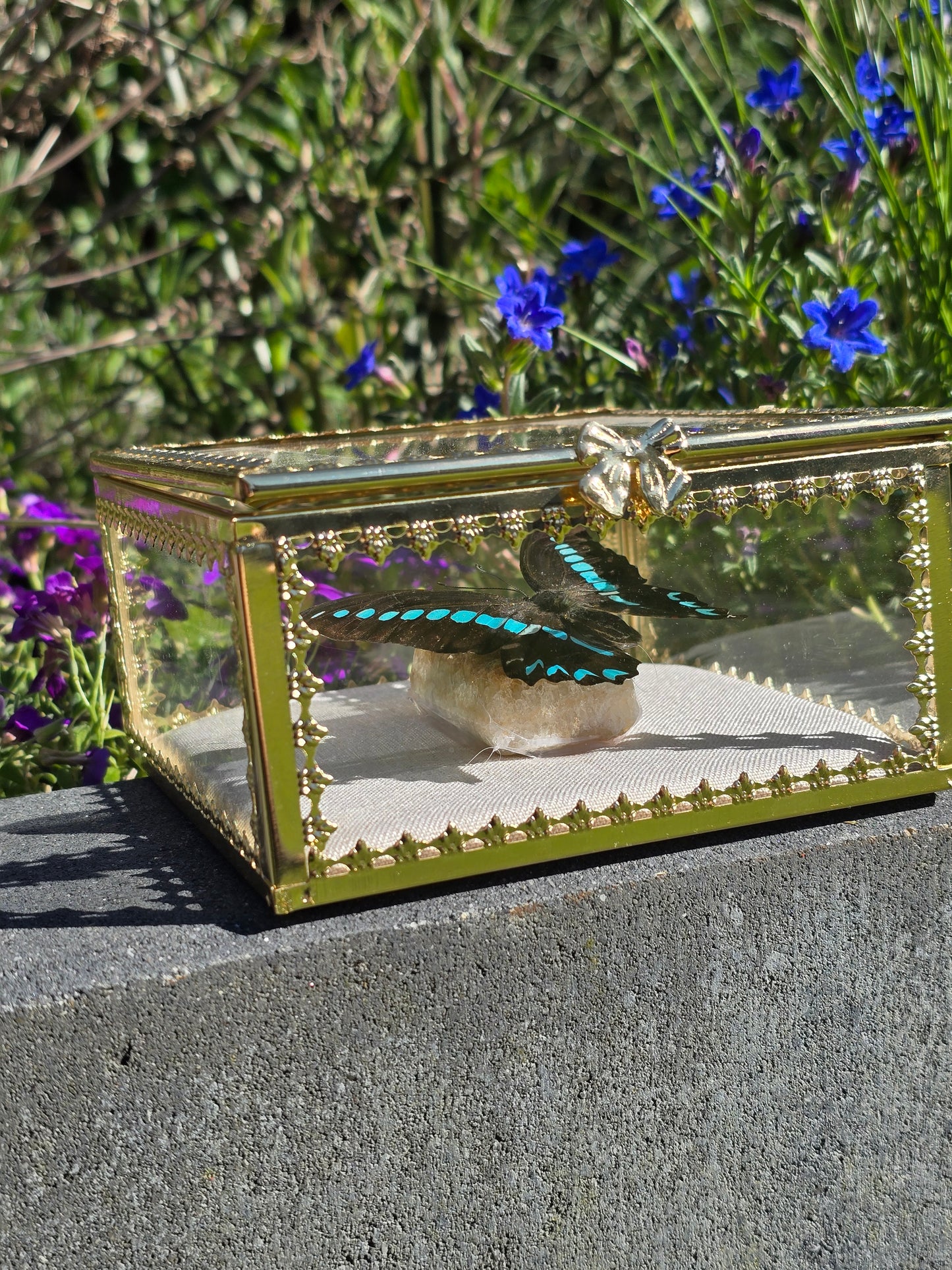 Vlinder in Gouden Display Box met Citrien