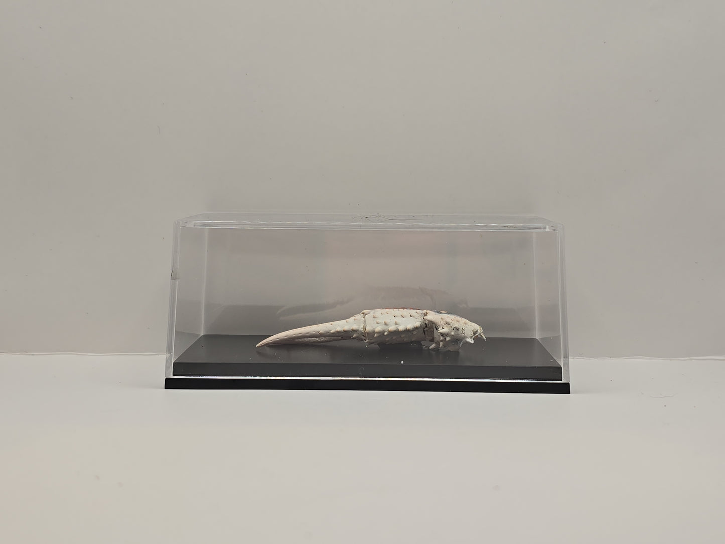 Krabschaar in Transparante Display