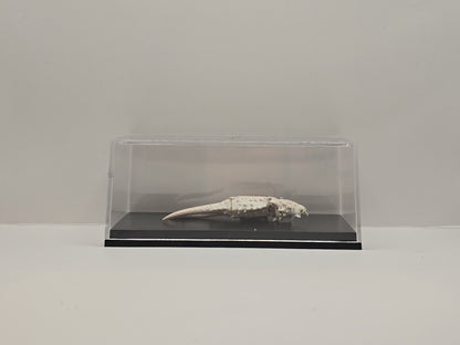Krabschaar in Transparante Display