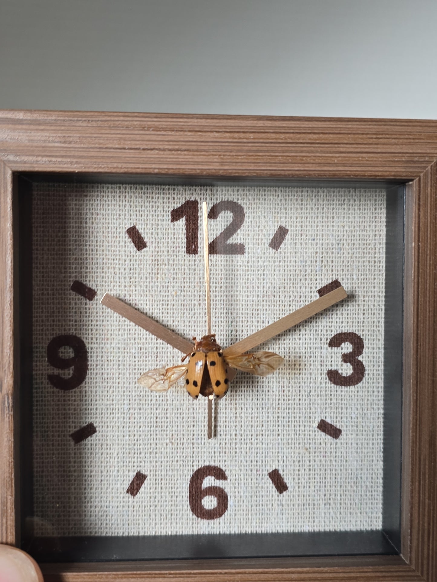 Unieke wekker met insect