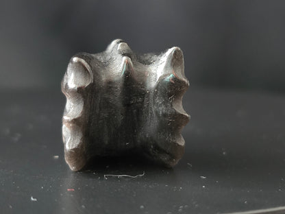 Silver Obsidiaan Drakenkop