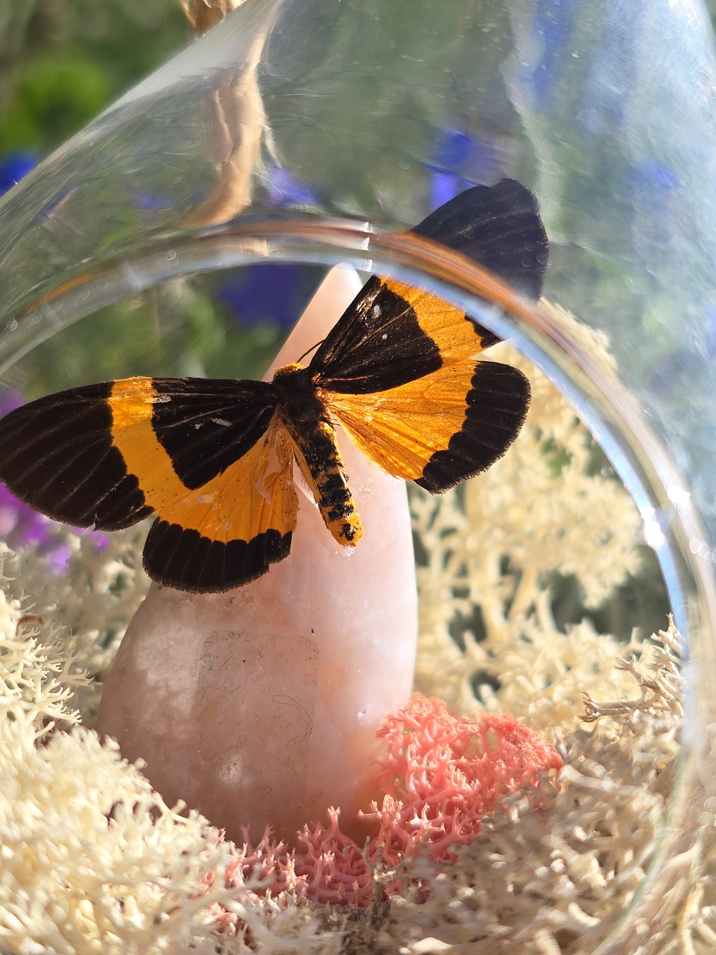 Hangende glazen druppel met vlinder & bloemagaat