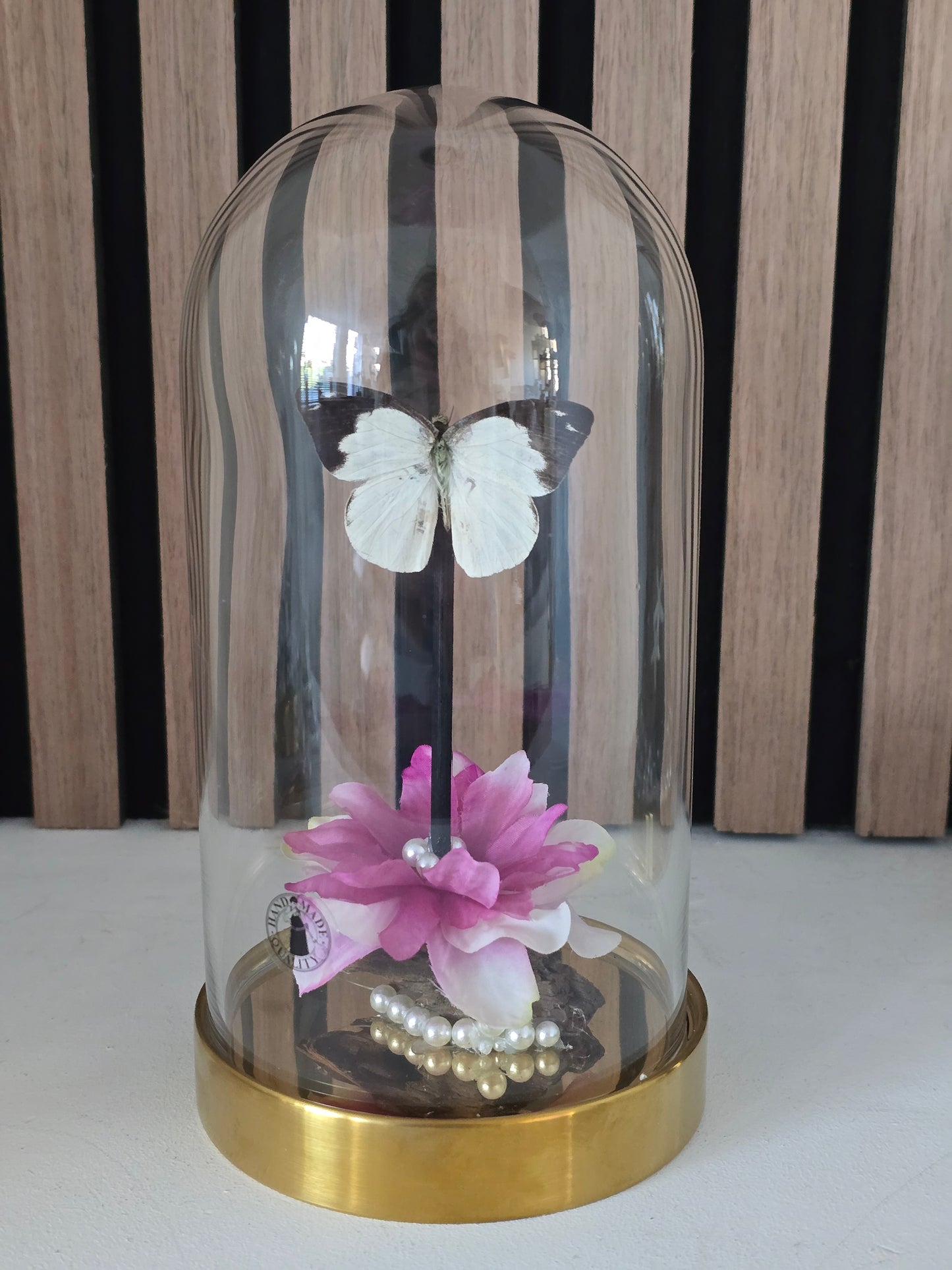 🦋✨ Vlinderstolp Appias Indra✨🦋