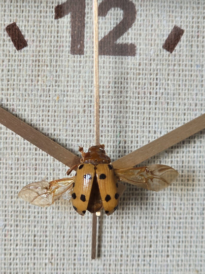 Unieke wekker met insect